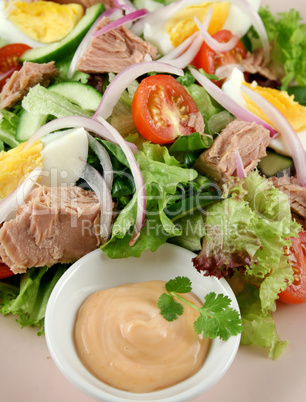 Tuna Salad And Dip
