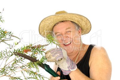 Sawing Gardener