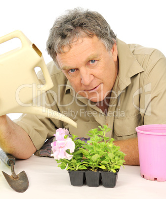 Watering Seedlings