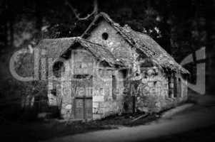 haunted house in the woods