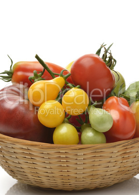 Tomatoes