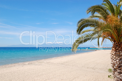 The beach with palm tree and mountain Olympus on background, Hal