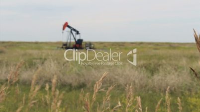 Tall Prairie Grass With Oil Pump In The Background
