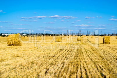 Farm field with hay bales