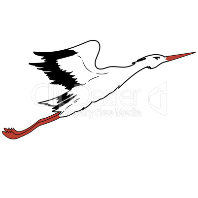 White Stork in flight. vector illustration.