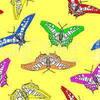 Butterfly seamless pattern . Vector illustration.