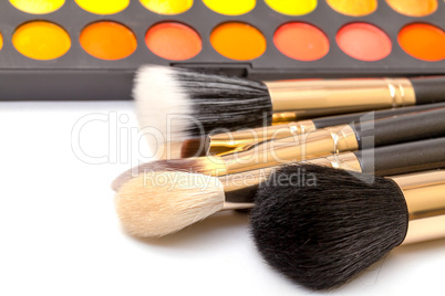 Set of Multicolored Eyeshadows with Brushes