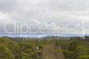 view over forest with cloudy sky