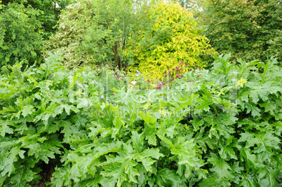 Brittany, le Jardin Lepage in Pleumeur Bodou