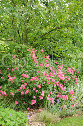 Brittany, le Jardin Lepage in Pleumeur Bodou