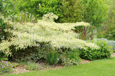 Brittany, le Jardin Lepage in Pleumeur Bodou