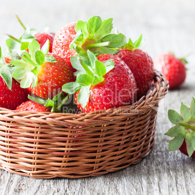 frische Erdbeeren fresh strawberries