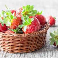 frische Erdbeeren fresh strawberries