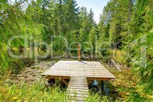 Pond in the forest with small pier.