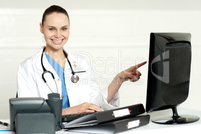 Female professional pointing at lcd screen