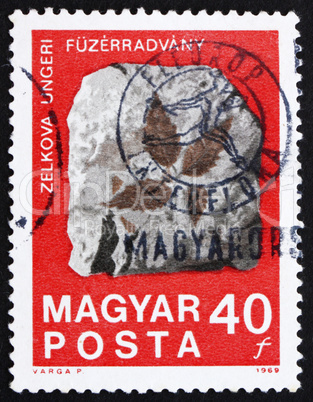 Postage stamp Hungary 1969 Fossilized Zelkova Leaves