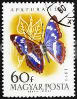 Postage stamp Hungary 1959 Leser Purple Emperor, Apatura Ilia, B