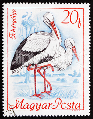 Postage stamp Hungary 1968 White Storks, Bird