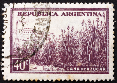 Postage stamp Argentina 1936 Field of Sugar Cane