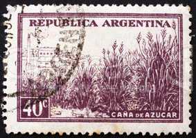 Postage stamp Argentina 1936 Field of Sugar Cane