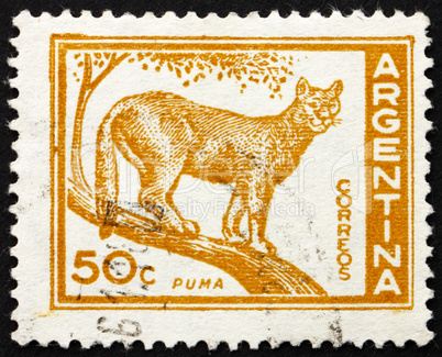 Postage stamp Argentina 1960 Puma, Cougar