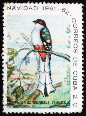 Postage stamp Cuba 1961 Cuban Trogon, Bird