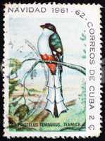 Postage stamp Cuba 1961 Cuban Trogon, Bird