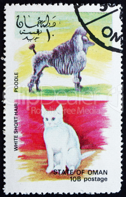 Postage stamp Oman 1972 Cat and Dog