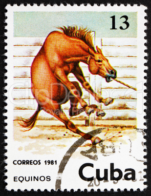 Postage stamp Cuba 1981 Horse, Equus Ferus Caballus