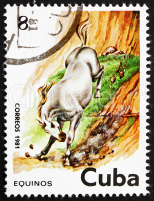 Postage stamp Cuba 1981 Horse, Equus Ferus Caballus