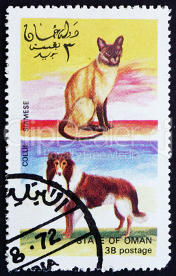 Postage stamp Oman 1972 Cat and Dog