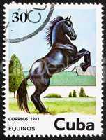 Postage stamp Cuba 1981 Horse, Equus Ferus Caballus