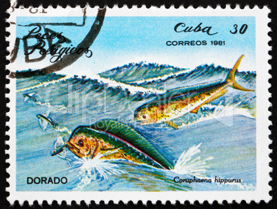 Postage stamp Cuba 1981 Common Dolphinfish, Dorado