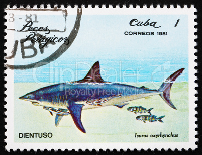 Postage stamp Cuba 1981 Shortfin Mako Shark