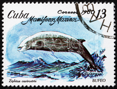 Postage stamp Cuba 1980 Cuvier's Beaked Whale