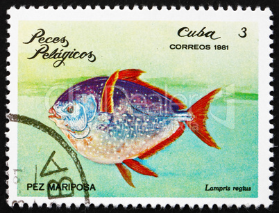 Postage stamp Cuba 1981 Moonfish