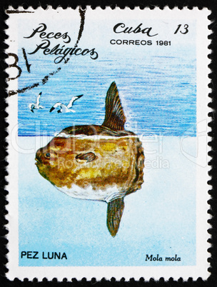 Postage stamp Cuba 1981 Ocean Sunfish