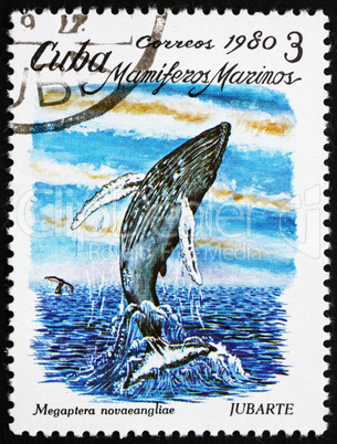 Postage stamp Cuba 1980 Humpback Whale