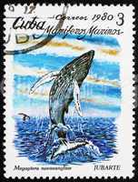 Postage stamp Cuba 1980 Humpback Whale