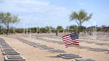 Honoring American Patriots Lost