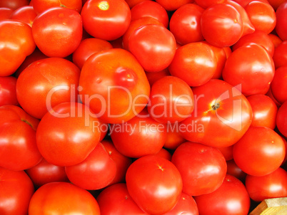 Background of red ripe tomatoes