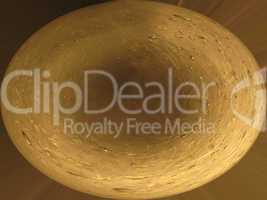 Gold oval abstract background