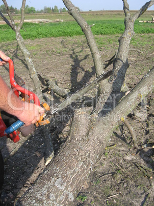 The man working with petrol saw