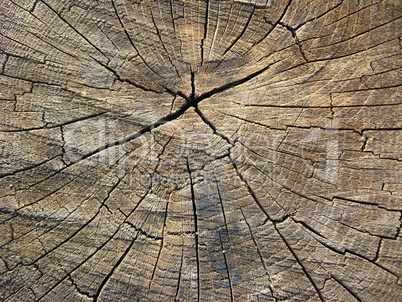 Wooden dark background