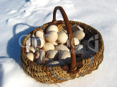 Basket with eggs costing on a snow