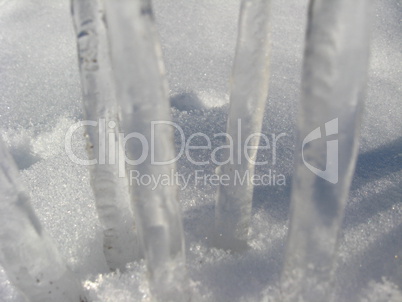 Icicles on a snow