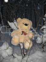 Toy bear in a forest