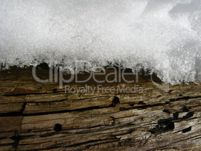 Layer of a snow on a tree