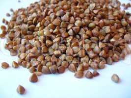 Grains of buckwheat