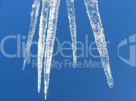 Icicles on a background of the blue sky